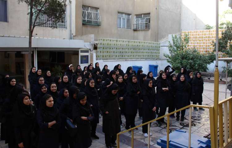 دانش فر