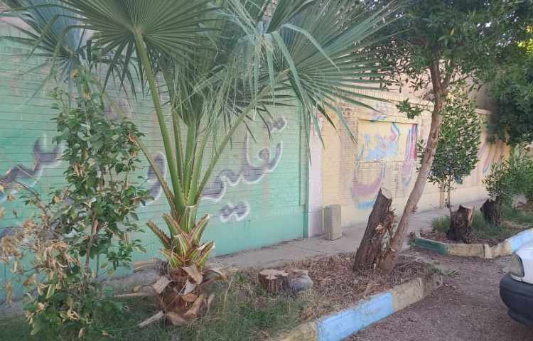 دهقان_4