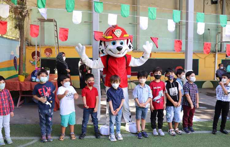 شهاب دانش_3