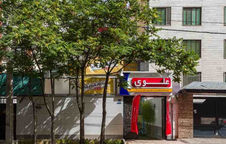 علوی نیروی هوایی_1