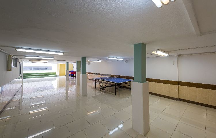 علوی نیروی هوایی_8