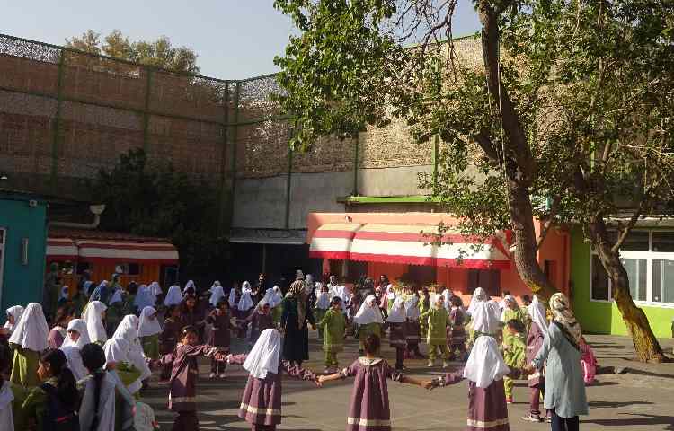 مفید_4