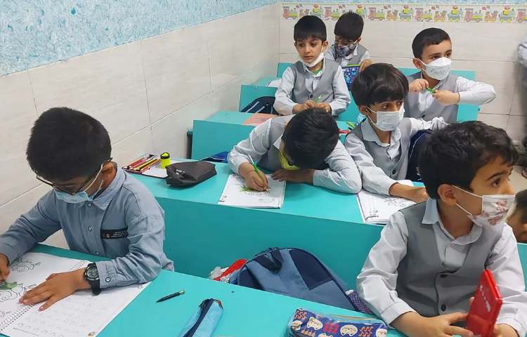 گل داوودی