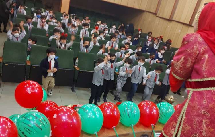 گل داوودی_2